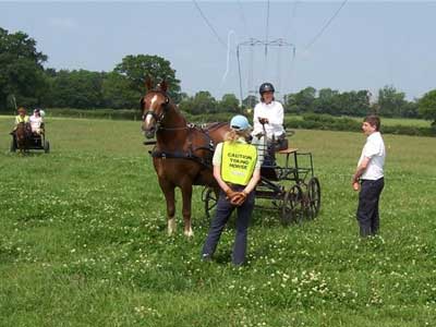 Longwood Farm